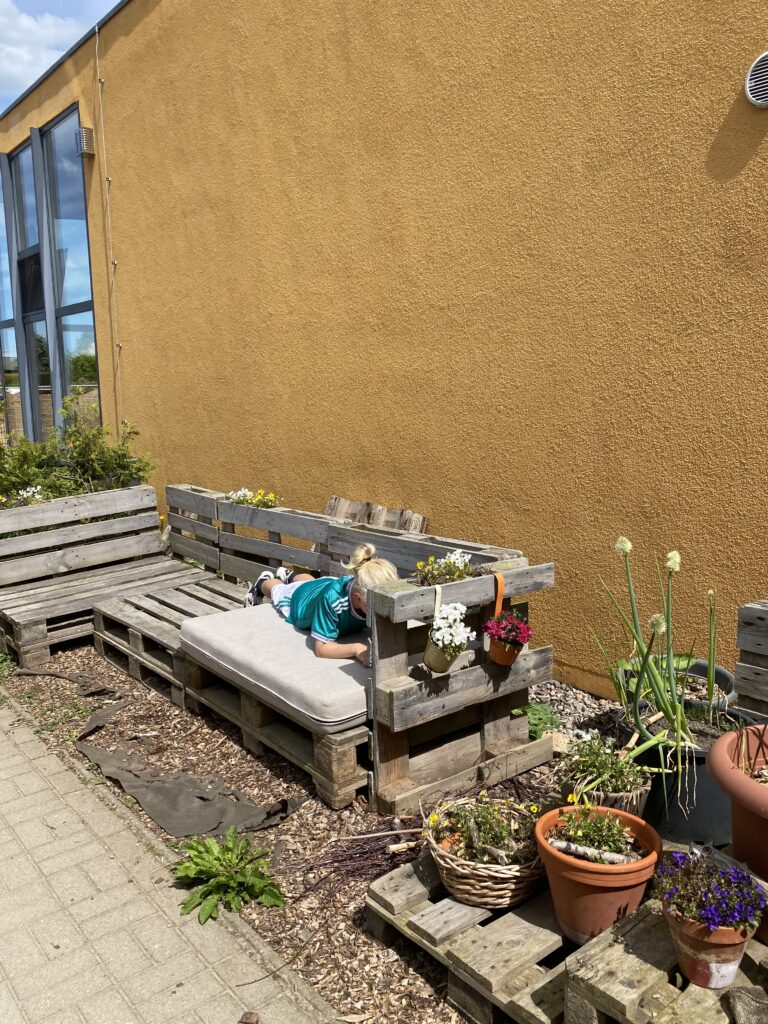 image23