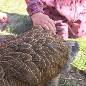 IMG-20260427-WA0064
