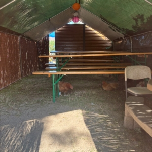 IMG-20260730-WA0038