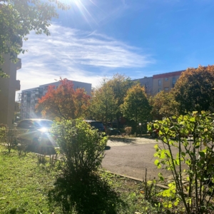 JUL Kita und Bildung Quartiersmanagement Weimar-Schöndorf